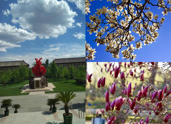 明洁物业员工风采