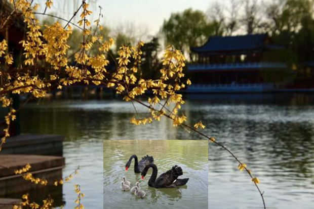 明洁物业员工风采